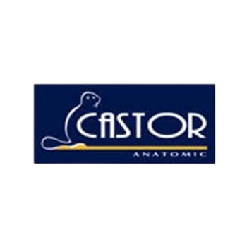 CASTOR